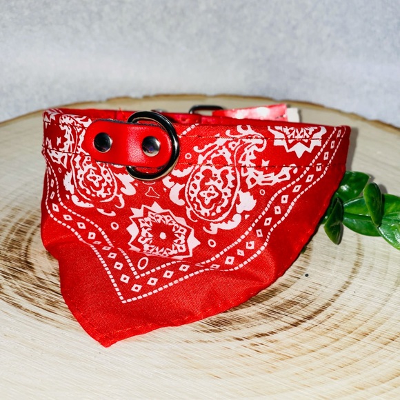 Brandera dog or cat collar for small to medium - Picture 2 of 7